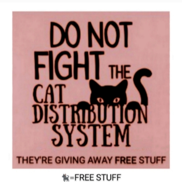 KATTA Long 4.5" Handmade Dangle Earrings Gold Turquoise Leaf Feather Charms New - Picture 10 of 10